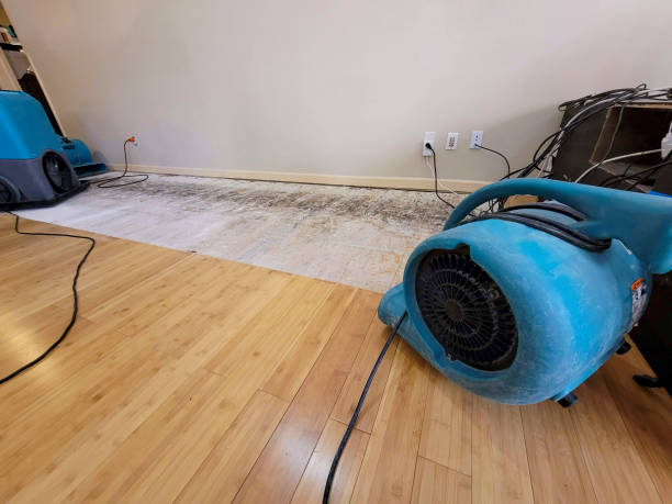 Professional Basement Flood Cleanup technician working in Long Beach, NY
